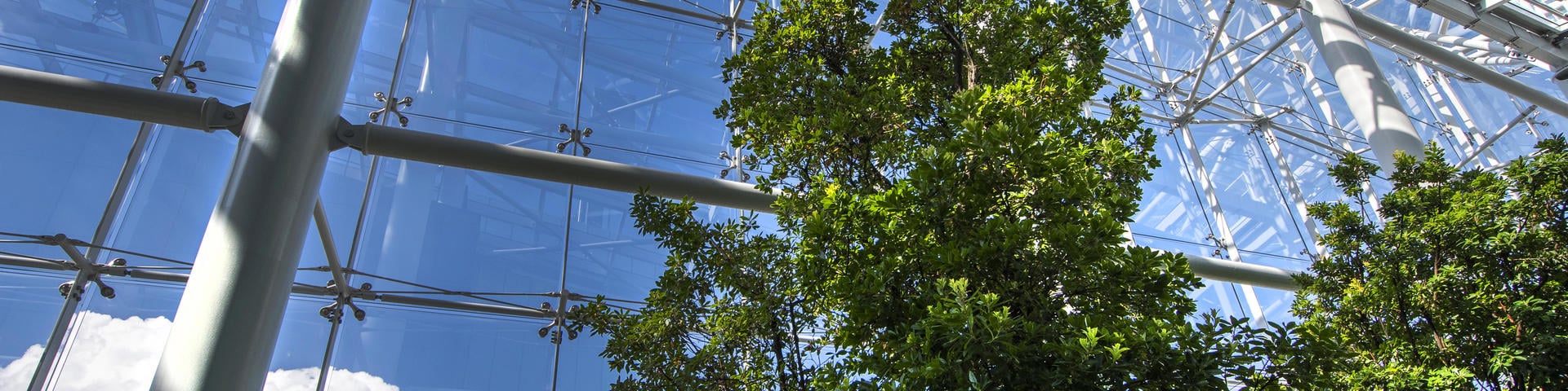 Zrównoważony rozwój