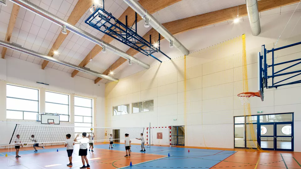 Ecophon_galeria