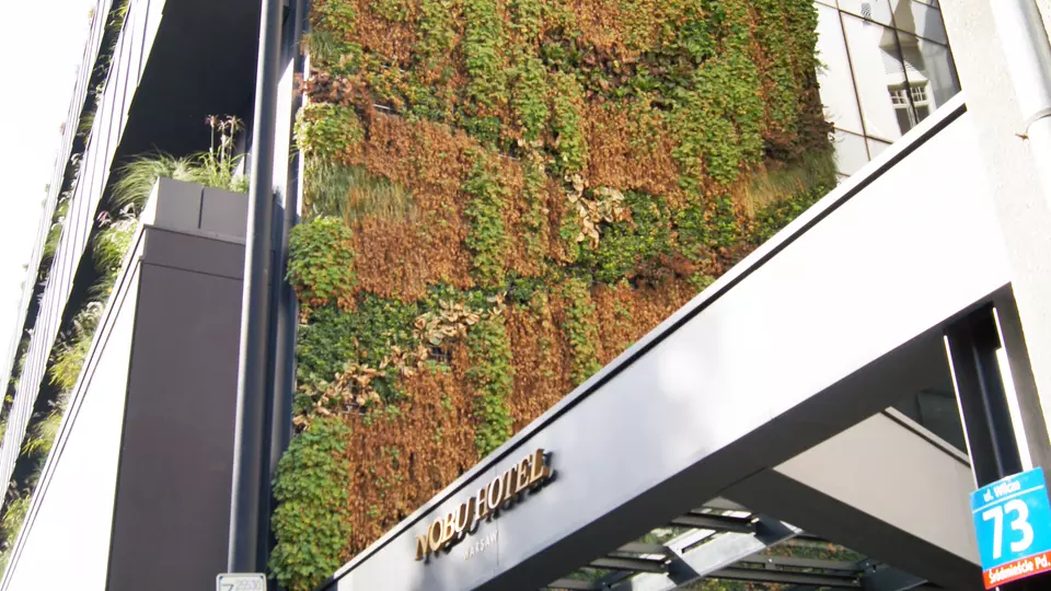 Nobu Hotel